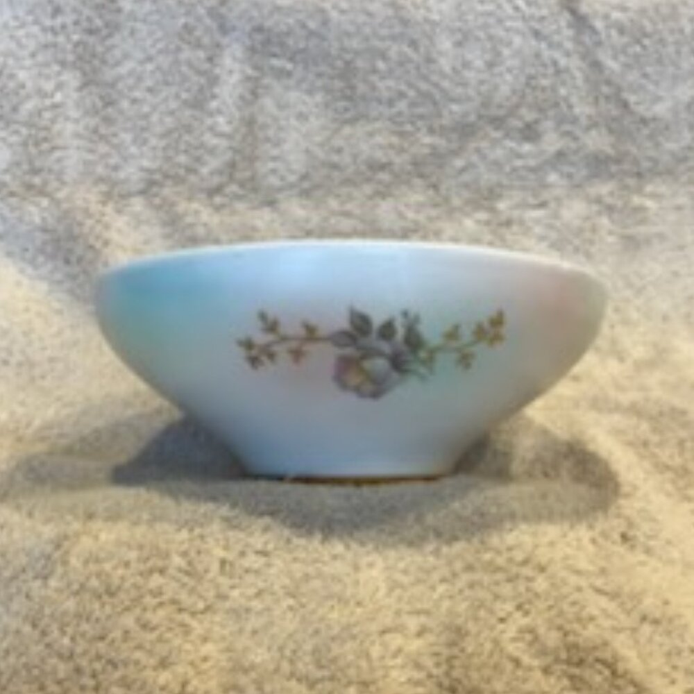 Schumann Arzberg Wild Rose bowl